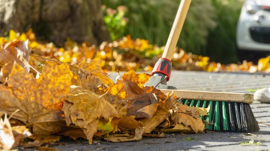 Leaf removal by Wilber & Son Landscaping LLC.