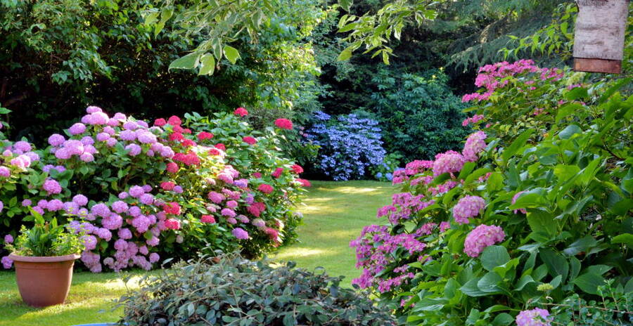 Garden Design by Wilber & Son Landscaping LLC