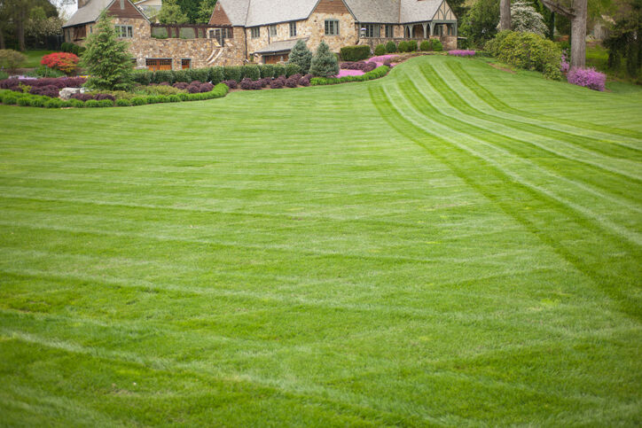 Lawn care by Wilber & Son Landscaping LLC.