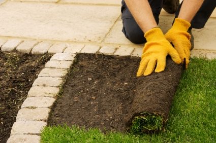 Lawn installation by Wilber & Son Landscaping LLC.