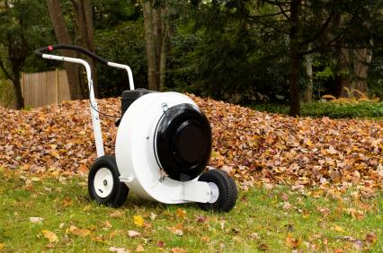 Leaf removal in Alexis, NC by Wilber & Son Landscaping LLC.