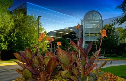 Commercial landscaping by Wilber & Son Landscaping LLC.