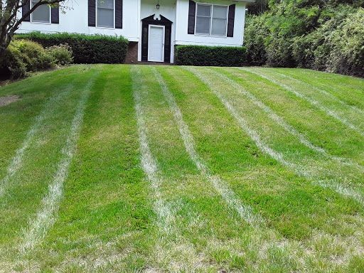Landscaping in Hickory, NC (1)